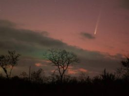 cometa