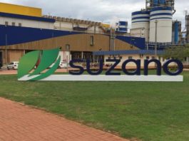 Suzano oferta vagas de emprego na Bahia, Espírito Santo, São Paulo e outros estados