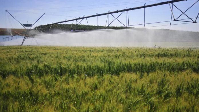 Municípios mais ricos do agronegócio