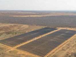 Usina Solar Vivo Malhada