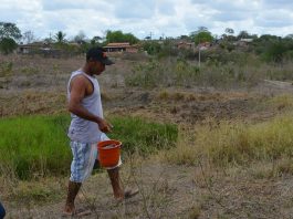 feira de santana declara situação de estiagem