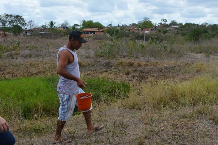 feira de santana declara situação de estiagem