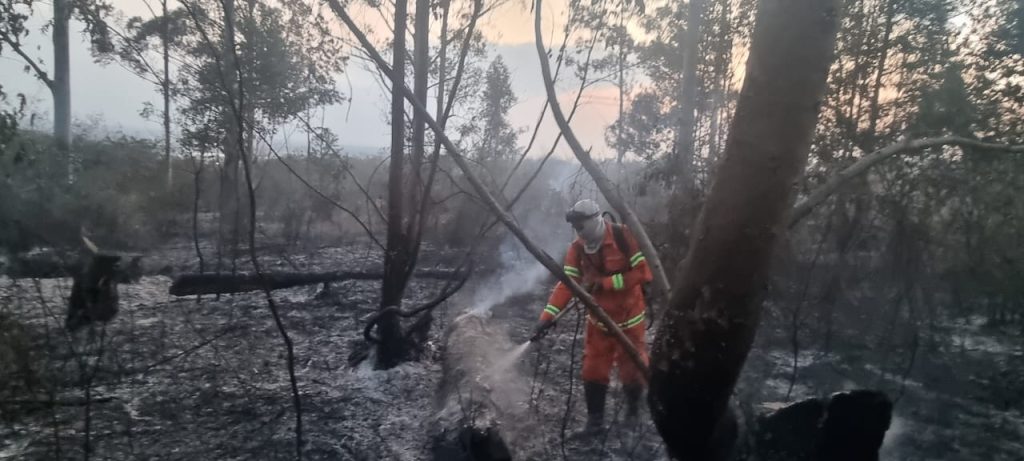 incendios vitoria da conquista