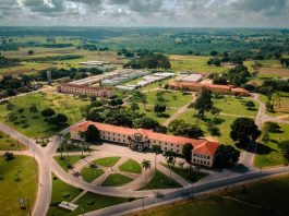 processo seletivo UFRB professor