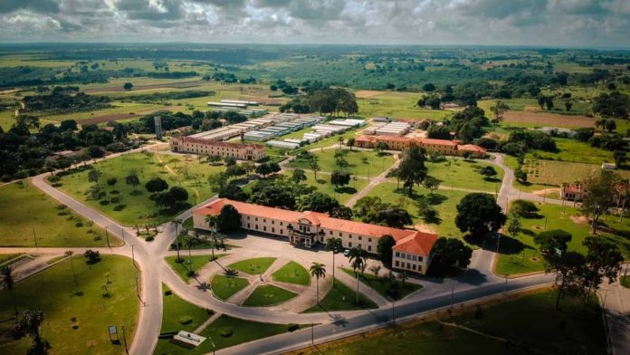 processo seletivo UFRB professor