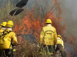 Processo Seletivo Prevfogo Ibama