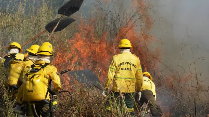 Processo Seletivo Prevfogo Ibama