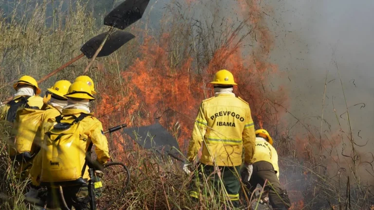 Processo Seletivo Prevfogo Ibama