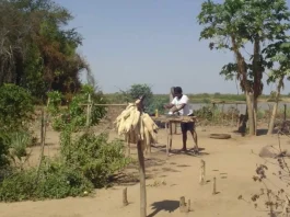 Territórios quilombolas reforma agrária Bahia
