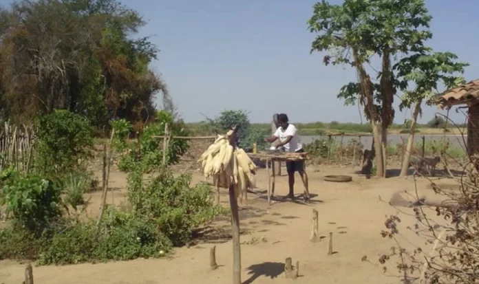 Territórios quilombolas reforma agrária Bahia