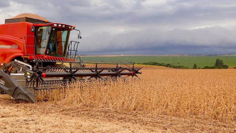 IBGE e Conab estimam aumento da safra em 2025