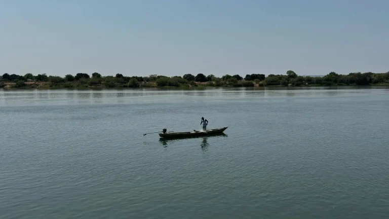 piracema rio são francisco