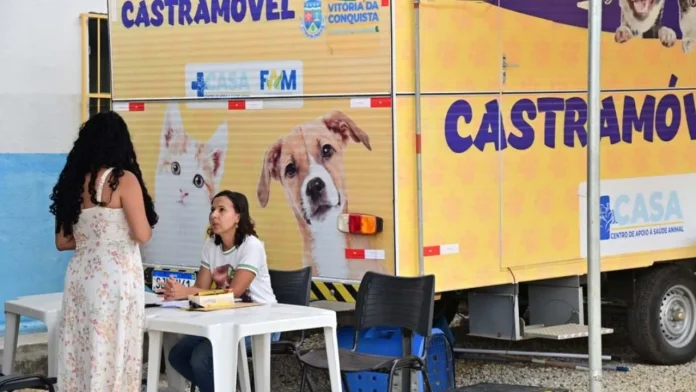 Castramóvel realizou mil castrações durante sete meses de funcionamento em Vitória da Conquista