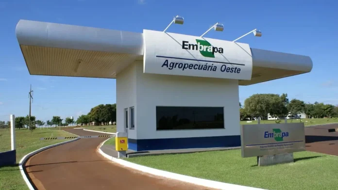 Concurso da Embrapa