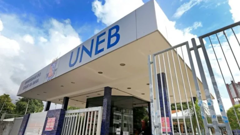 Seis docentes da Uneb recebem título de Professor Emérito nesta sexta