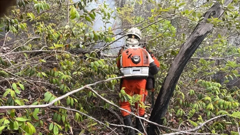 Bombeiros trabalham no combate a incêndio florestal na Chapada Diamantina