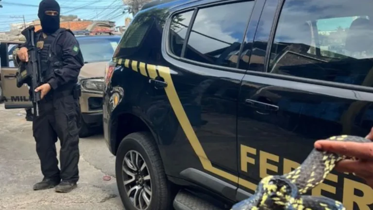 Operação da Polícia Federal combate tráfico ilegal de serpentes praticado via Correios na Bahia