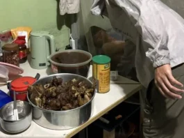 Trabalho análogo a escreva BYD Camaçari