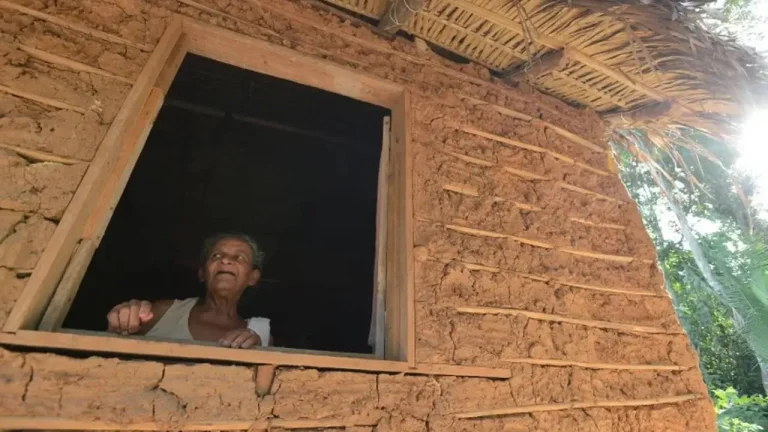 Governo desapropriou cerca de 15 mil hectares para regularização de territórios quilombolas na Bahia e Sergipe