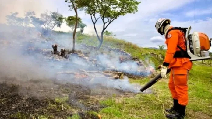 Salvador vai sediar seminário internacional sobre prevenção e combate a incêndios florestais