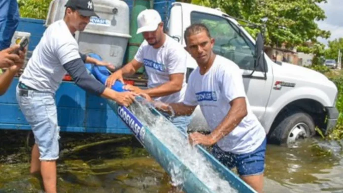 Codevasf realizou primeiro peixamento de 2025 lançando 50 mil alevinos no Rio São Francisco