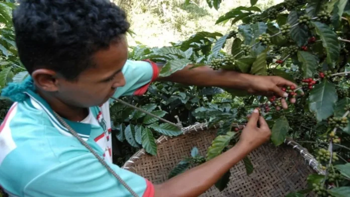 Bahia inclui 218 famílias no programa de reforma agrária