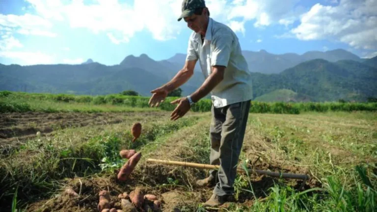Portaria permite transferência de terras de empresas estatais para a reforma agrária