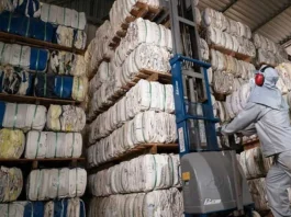 InpEV abriu vagas de emprego na Bahia, Paraná, São Paulo e outros estados