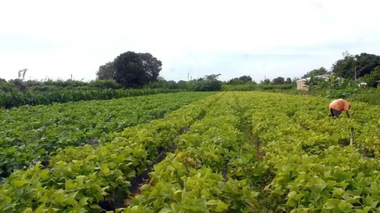 Incra convocou 65 famílias em processos por abandono de lotes em assentamentos de oito municípios da Bahia