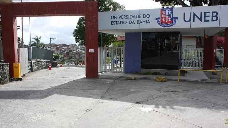 Uneb oferece serviço de declaração do Imposto de Renda gratuito em Salvador