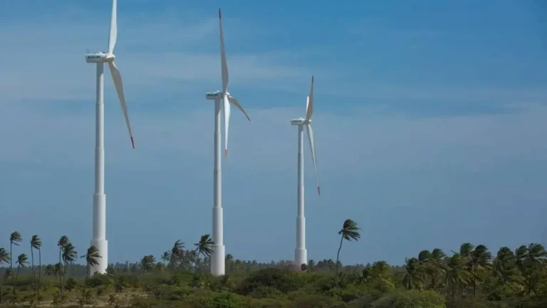 Implantação de parques eólicos aumentaram PIB per capita de municípios nordestinos em 20%, diz estudo