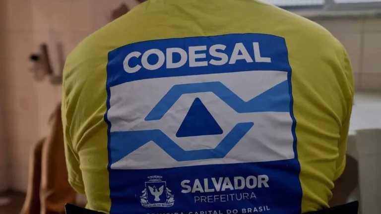 Processo seletivo salvador codesal