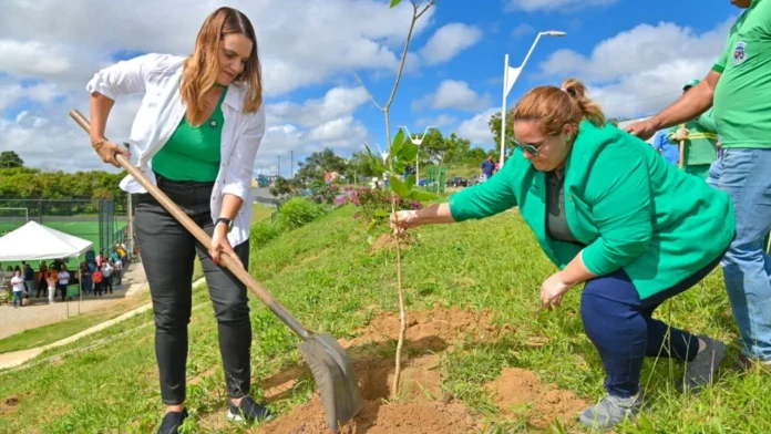 Vitória da Conquista lança projeto de arborização em áreas degradadas e espaços públicos