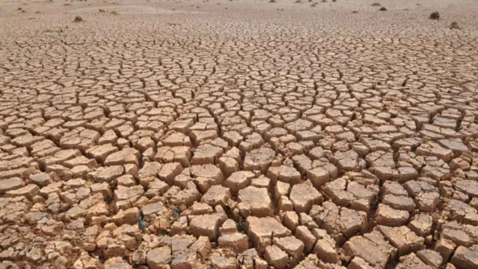 Mais quatro cidades baianas afetadas pela estiagem tiveram a situação de emergência reconhecida a nível federal