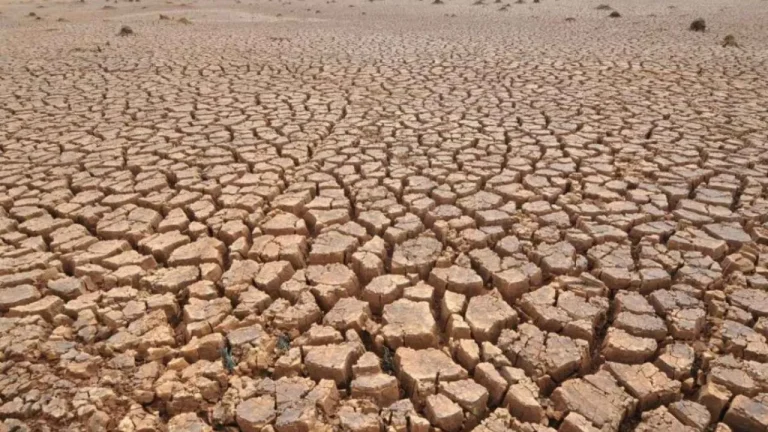 Mais quatro cidades baianas afetadas pela estiagem tiveram a situação de emergência reconhecida a nível federal