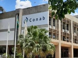 Conab divulgou distribuição por estado das 403 vagas do concurso público