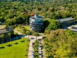 Pesquisadores da Uesc descobrem potencial biotecnológico em proteína da vassoura-de-bruxa
