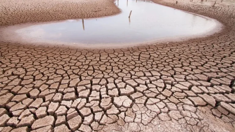 MIDR reconhece a situação de emergência em duas cidades da Bahia afetadas pela estiagem