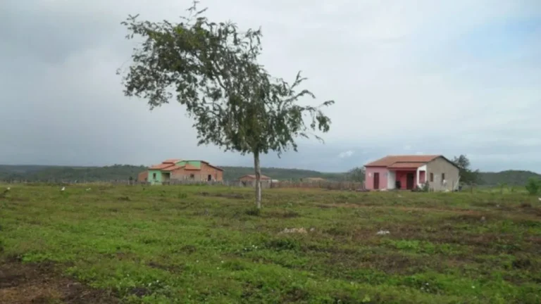 Beneficiários de 20 assentamentos foram notificados por uso indevido de lotes na Bahia