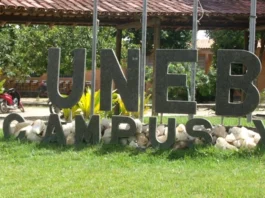 Uneb emite comunicado de apoio aos povos indígenas e estudantes Pataxós do Sul da Bahia