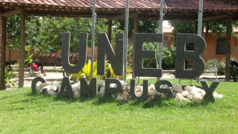 Uneb emite comunicado de apoio aos povos indígenas e estudantes Pataxós do Sul da Bahia