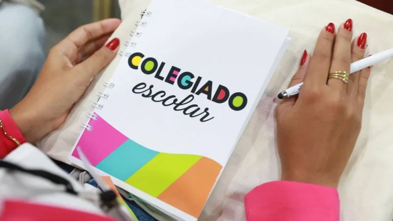 Calendário das eleições do Colegiado Escolar da rede estadual foi definido