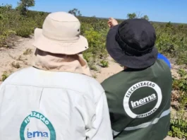 Sema abriu 800 novas vagas gratuitas em cursos de gestão ambiental