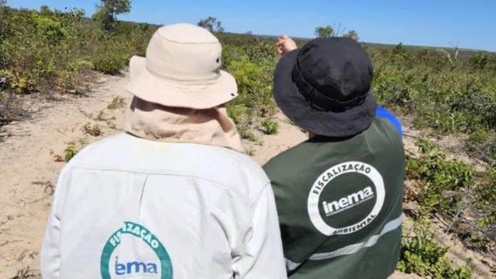 Sema abriu 800 novas vagas gratuitas em cursos de gestão ambiental