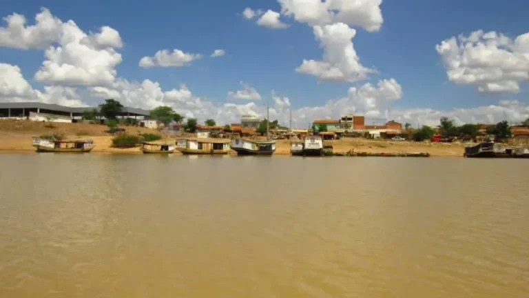 Quatro adolescentes da mesma família morreram afogados no Rio São Francisco na Bahia neste domingo