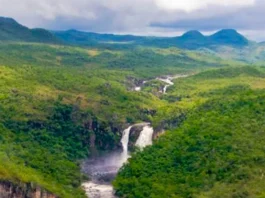 parque nacional Pau Brasil processo seletivo ICMBio