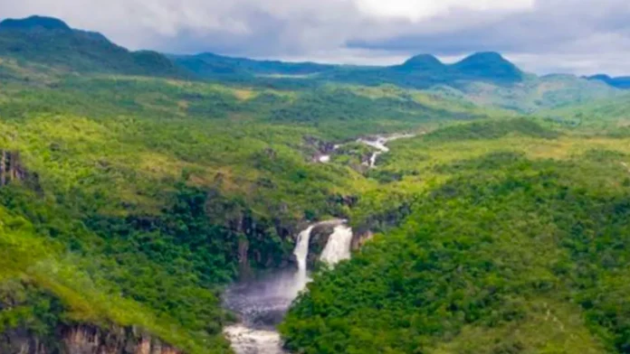 parque nacional Pau Brasil processo seletivo ICMBio