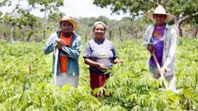 Agricultura Familiar da Bahia ganha destaque na maior feira de fruticultura da América Latina