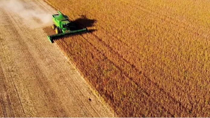Agronegócio correspondeu a 22,5% da economia baiana em 2024