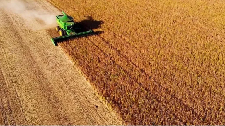 Agronegócio correspondeu a 22,5% da economia baiana em 2024